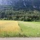 when-it-comes-to-esg-in-agribusiness,-start-with-the-farmer