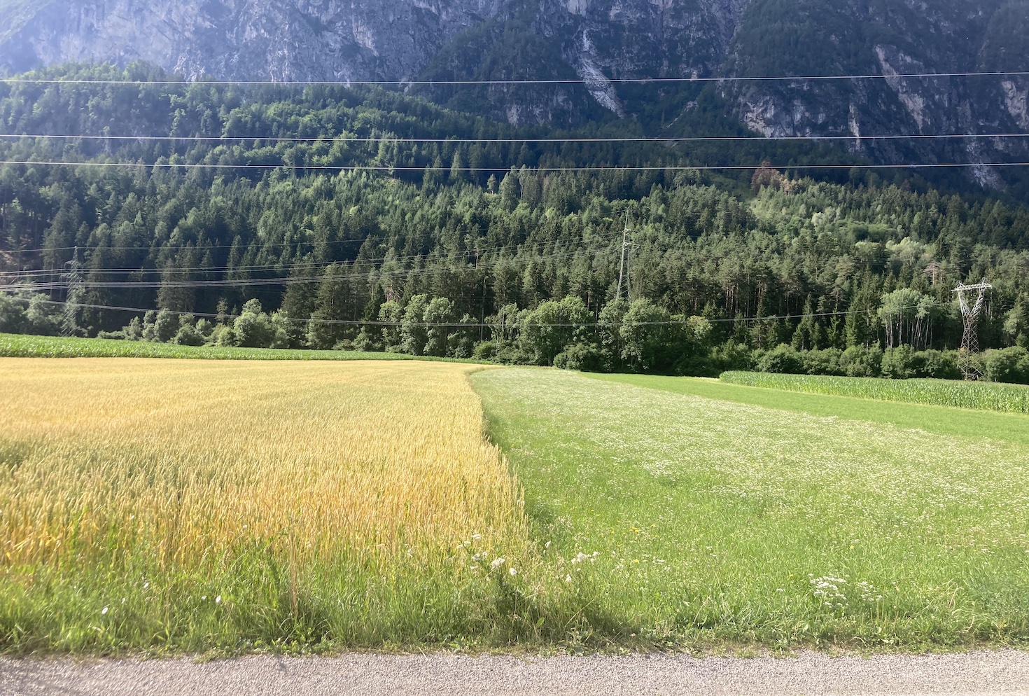 when-it-comes-to-esg-in-agribusiness,-start-with-the-farmer
