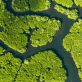 the-us-is-finally-getting-serious-about-nature-based-solutions