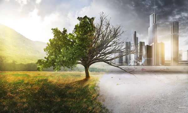 build-business-resilience-with-climate-adaptive-infrastructure