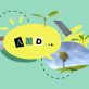 finding-your-‘sustainability-and…’