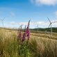 joint-climate-and-biodiversity-solutions-need-to-be-part-of-the-conversation