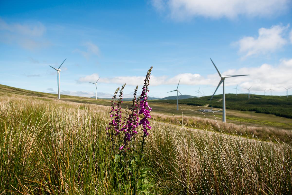 joint-climate-and-biodiversity-solutions-need-to-be-part-of-the-conversation