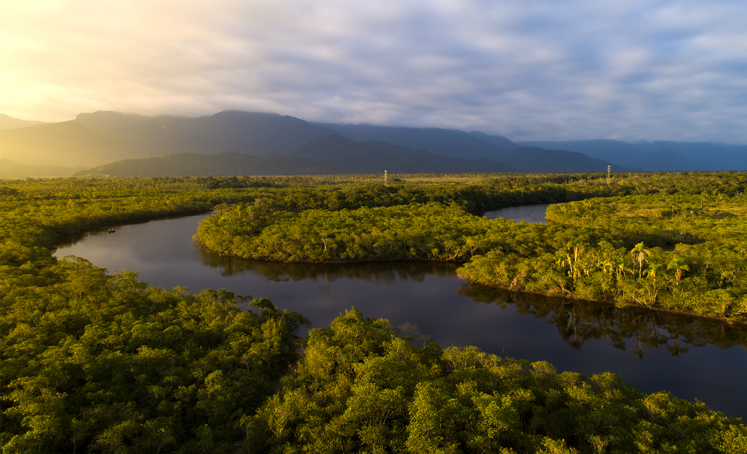 what-could-a-‘bioeconomy’-in-the-amazon-look-like?