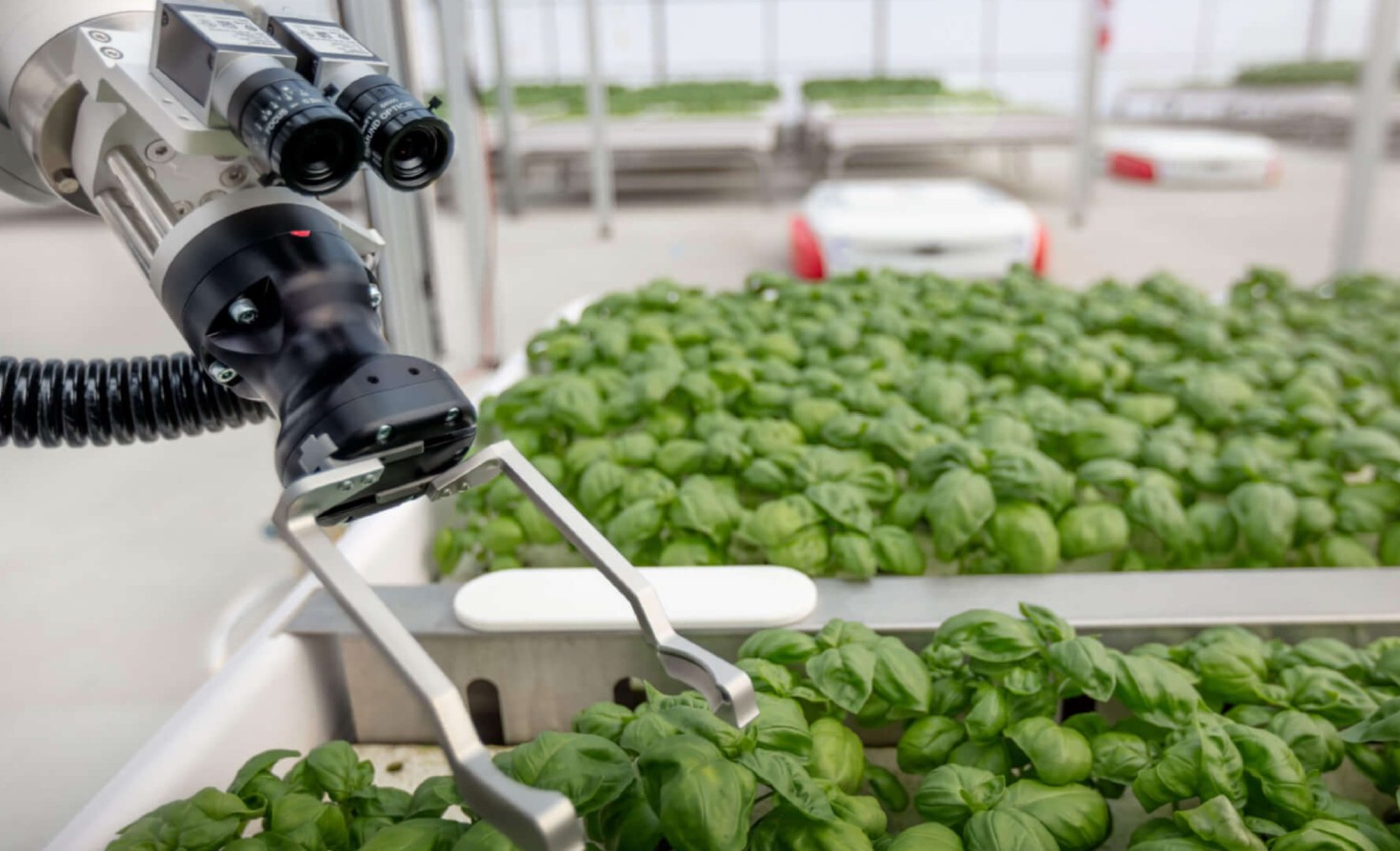 food-startups-aleph-farms-and-iron-ox-grow-from-net-zero-roots
