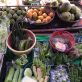 we-have-7-years-left-to-halve-food-emissions
