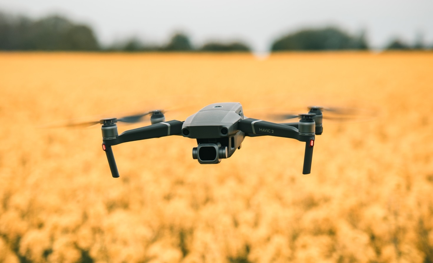 digital-technologies-for-conservation-and-climate-action:-solution-or-cop-out?