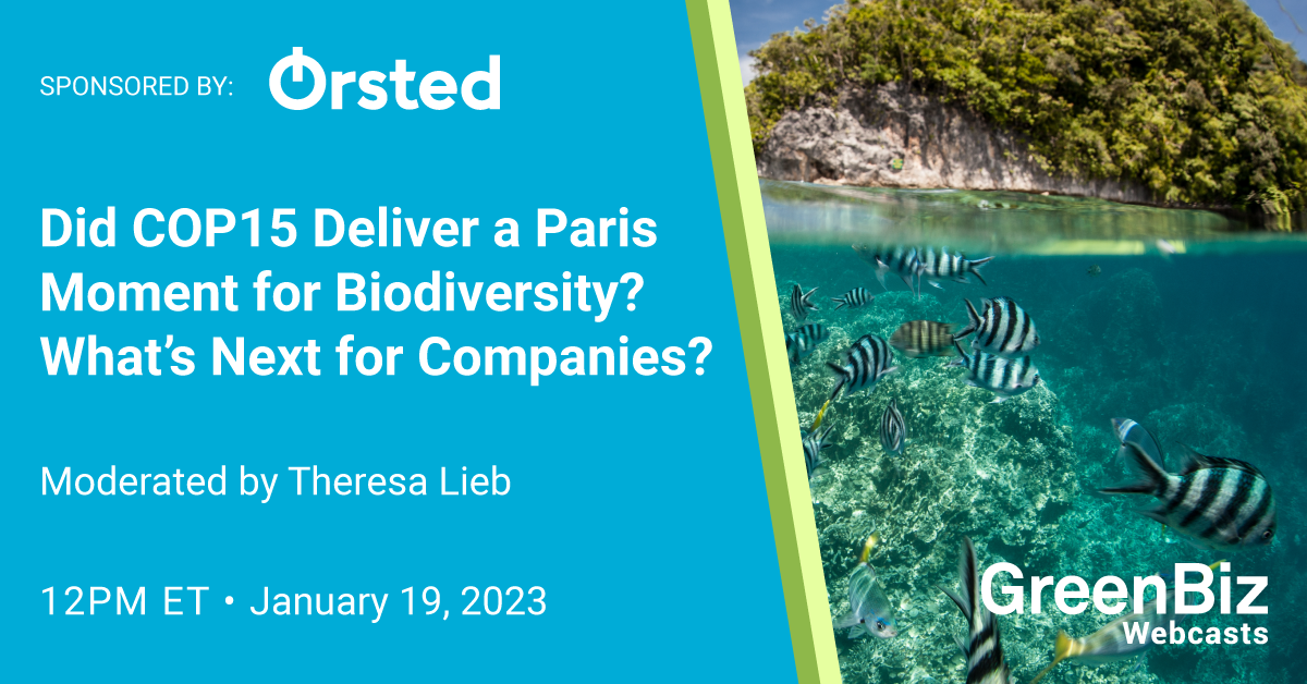did-cop15-deliver-a-paris-moment-for-biodiversity?-what’s-next-for-companies?