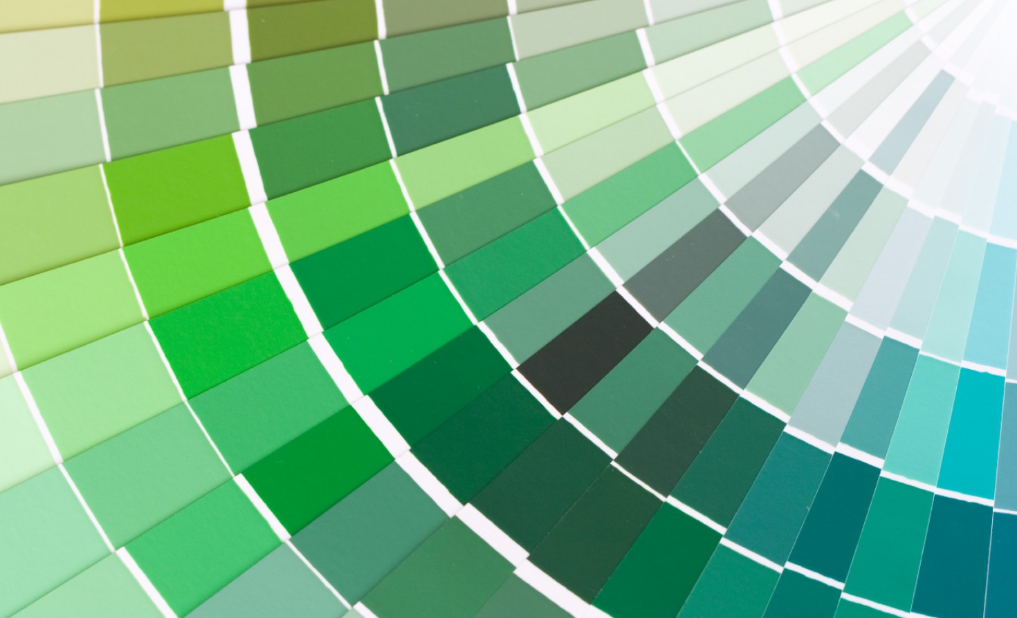 greenwashing-terms-to-avoid-at-any-cost