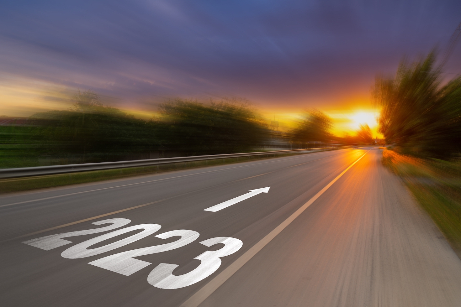 the-year-ahead-in-esg:-pledges,-politics-and-biodiversity