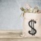 putting-the-dollar-sign-in-esg