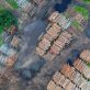 what-does-the-eu’s-new-anti-deforestation-law-mean-for-business?