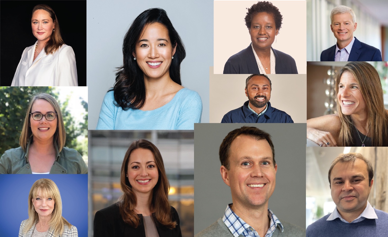 chobani,-microsoft,-cargill-and-rmi-bring-on-ceos-and-heads-of-sustainability