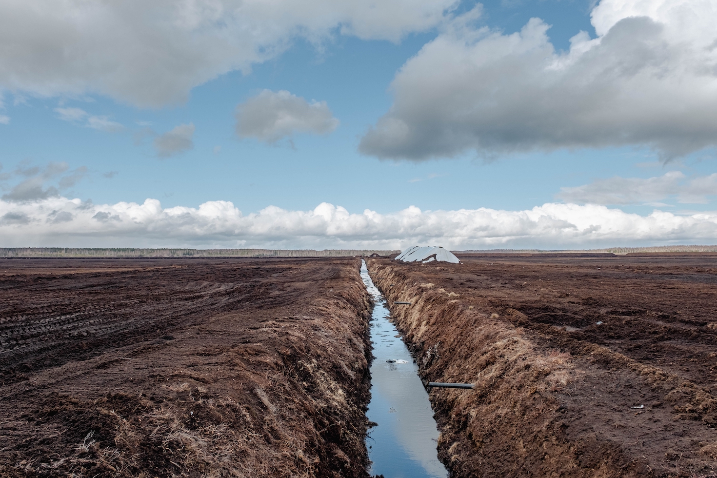 the-year-ahead-for-water:-creative-destruction