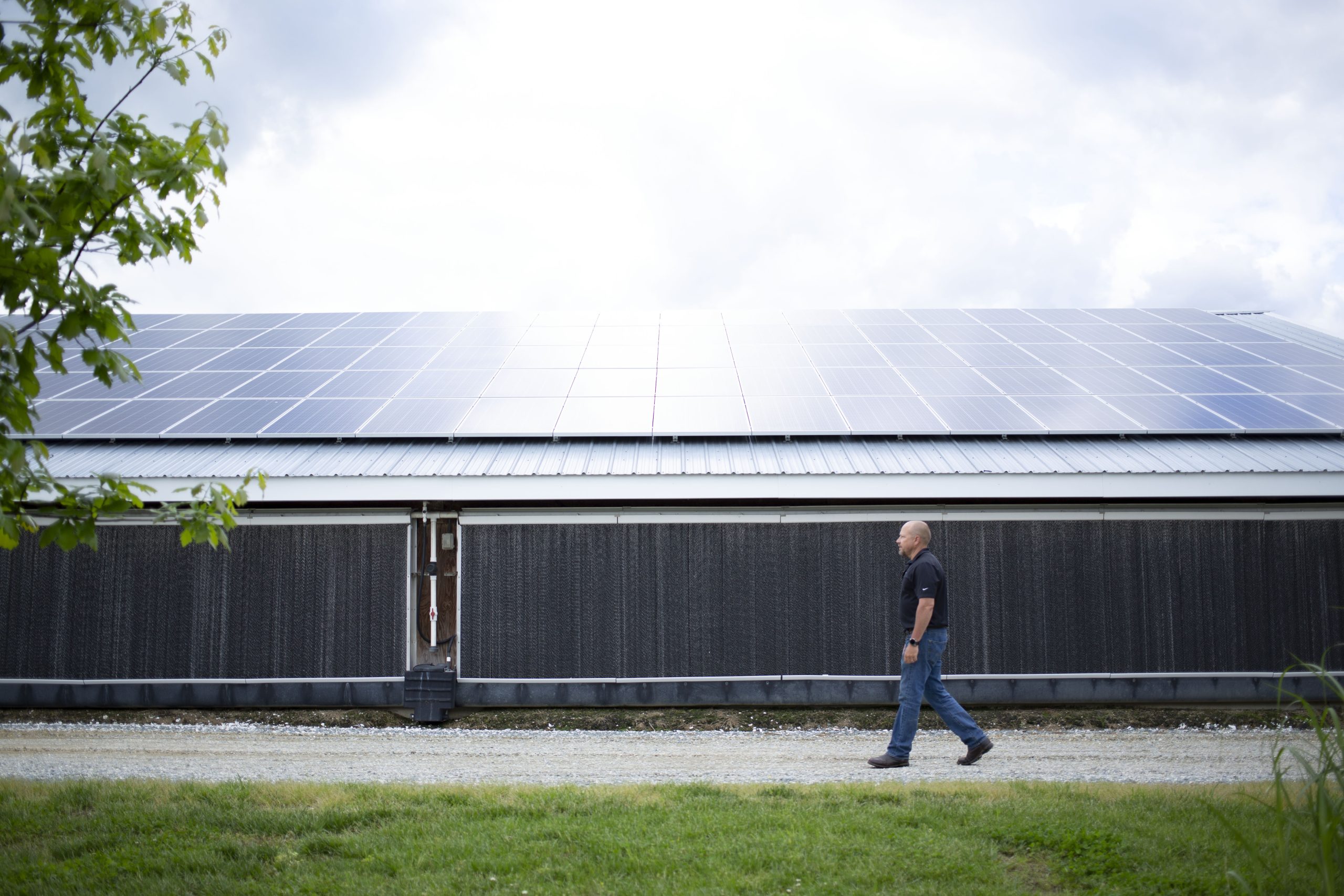 the-future-is-now:-measuring-sustainability-in-the-poultry-industry