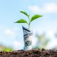natural-capital-earns-investor-interest