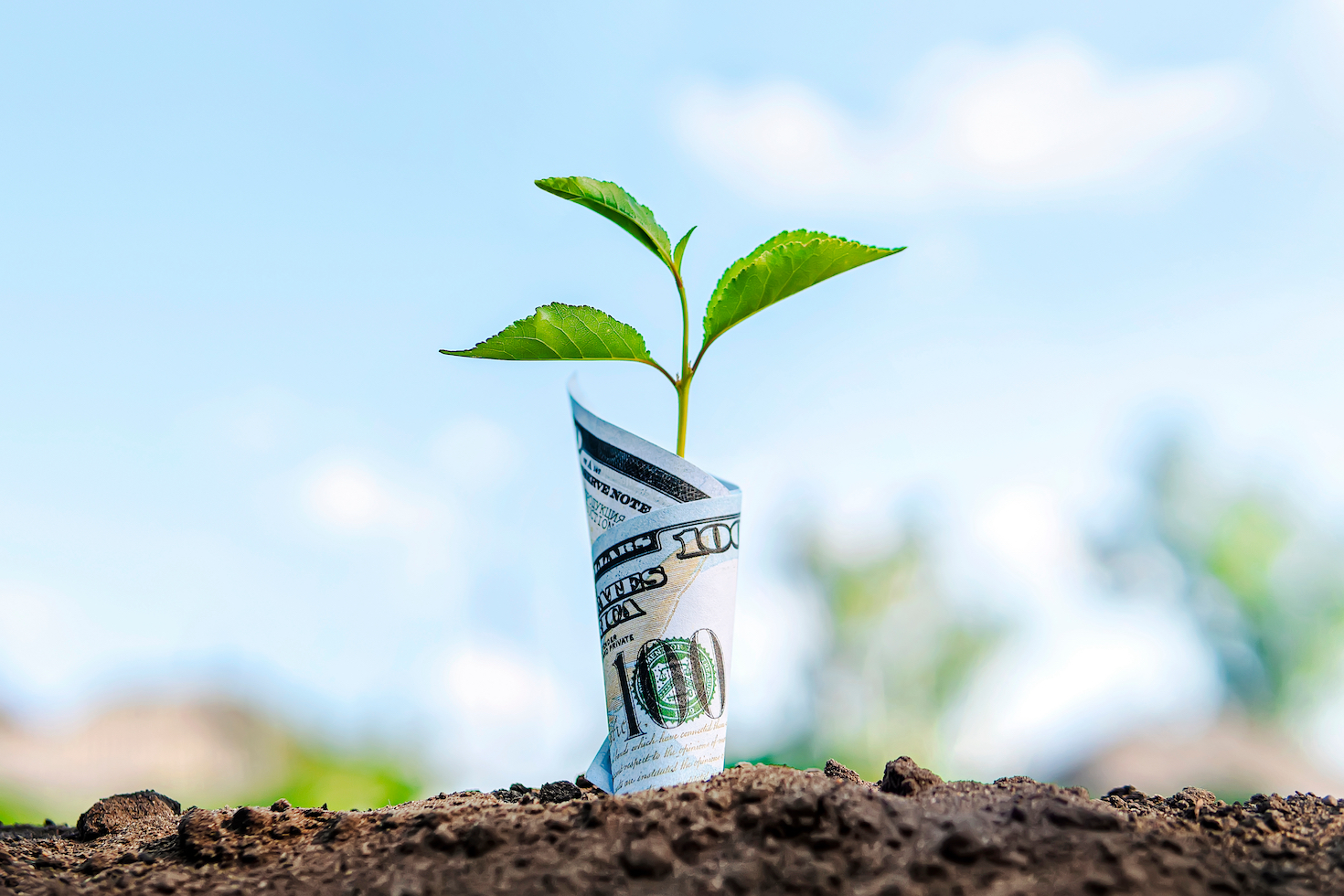 natural-capital-earns-investor-interest