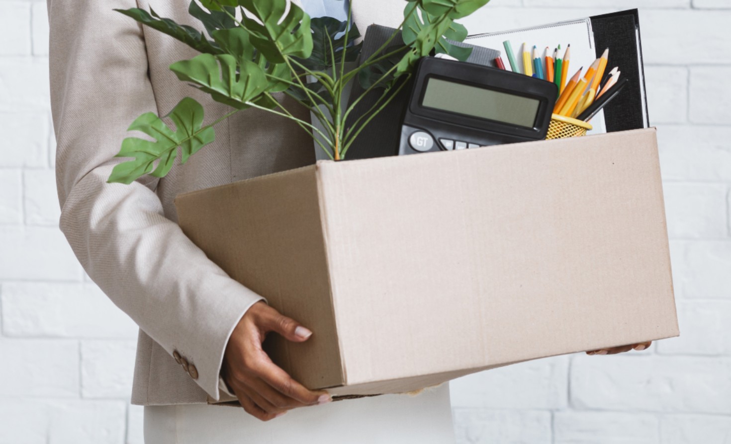 younger-job-seekers-drive-‘climate-quitting’