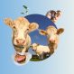 alternative-protein-beefs-up-for-the-mainstream