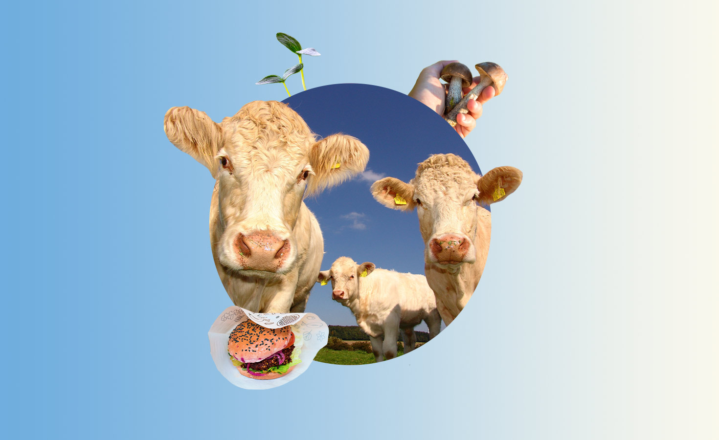 alternative-protein-beefs-up-for-the-mainstream