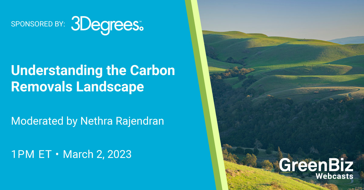 understanding-the-carbon-removals-landscape