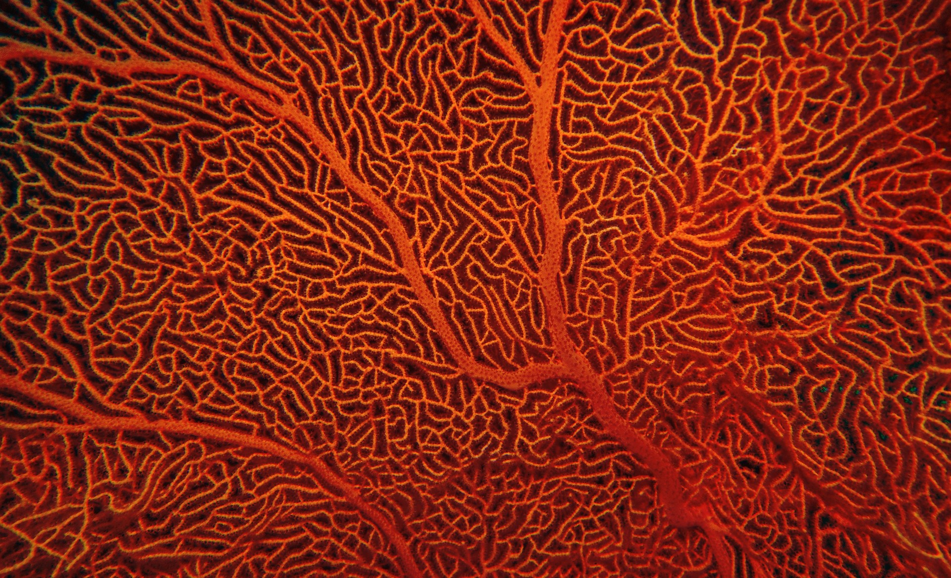 5-ocean-moments-to-watch-in-2023