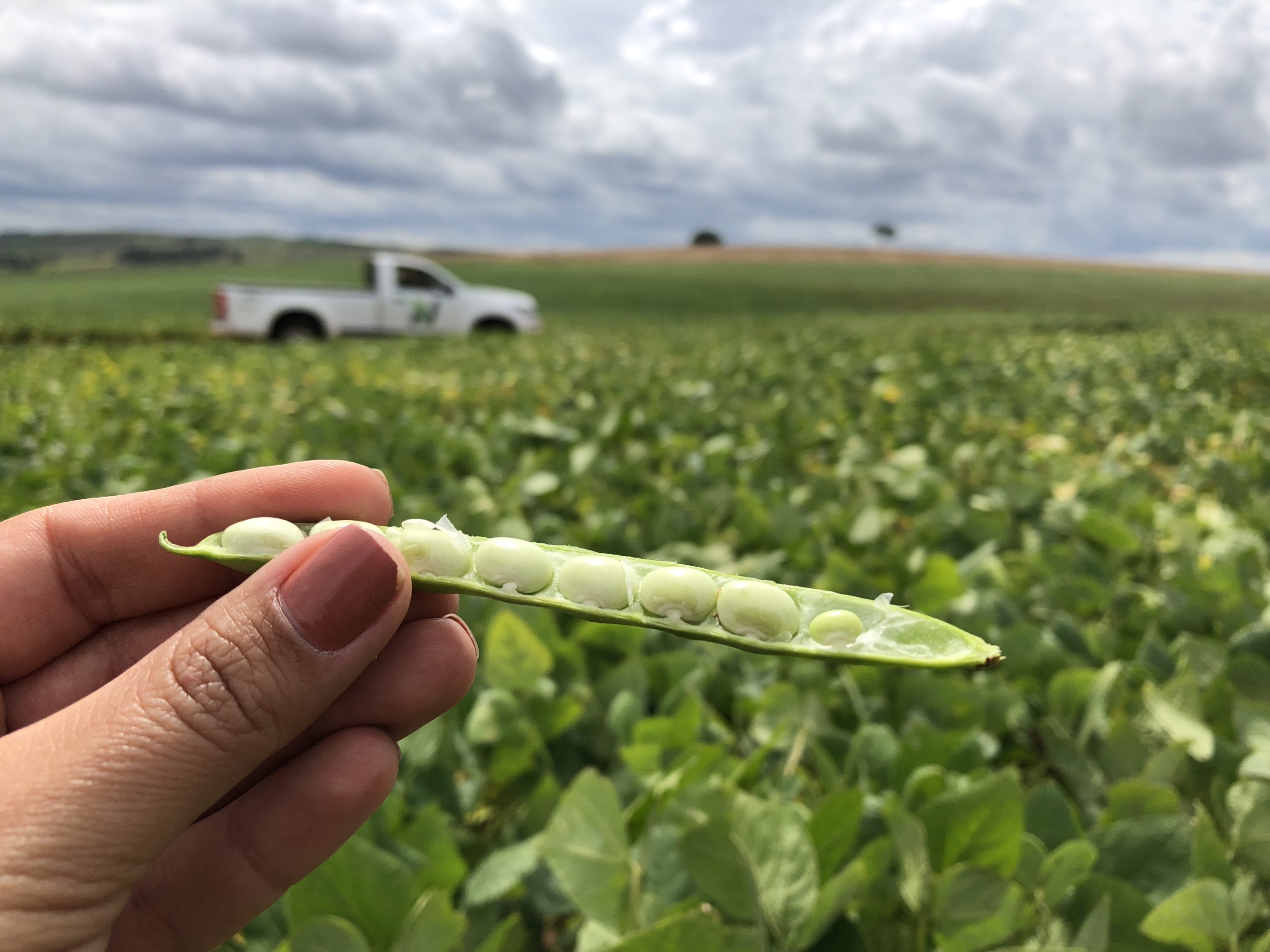 the-sustainable-agrifood-system-puzzle