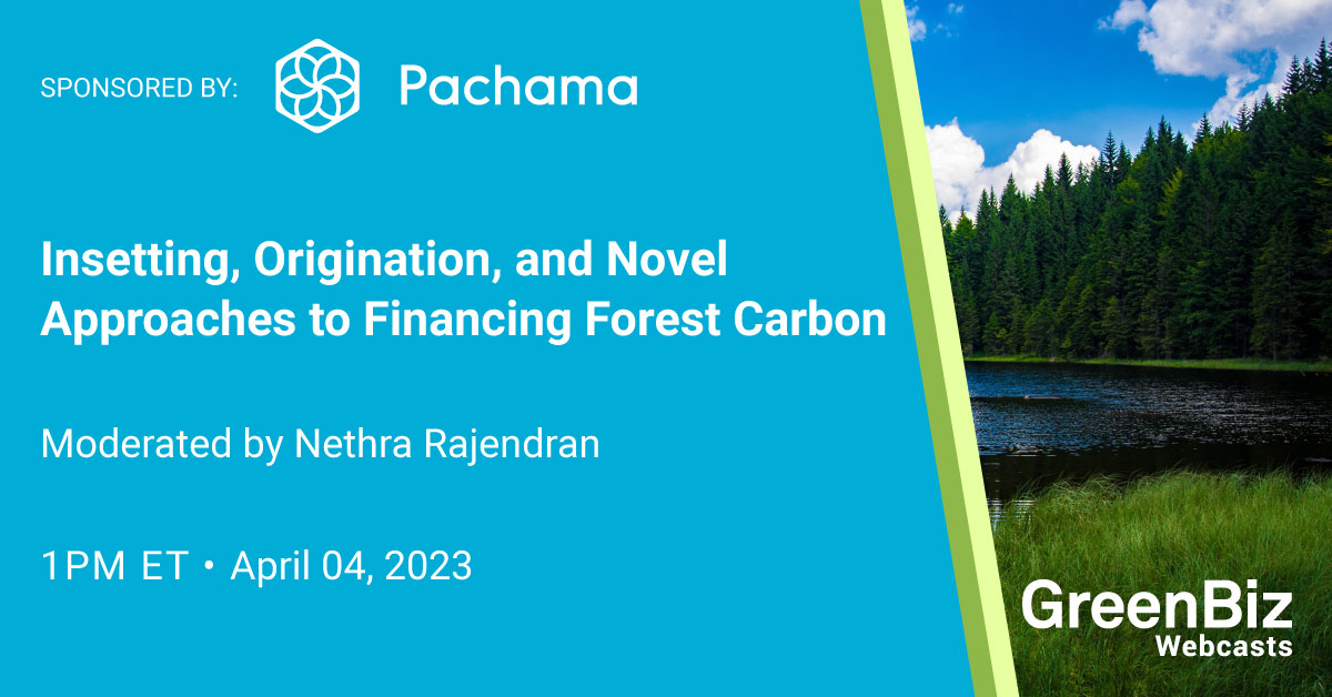 insetting,-origination,-and-novel-approaches-to-financing-forest-carbon