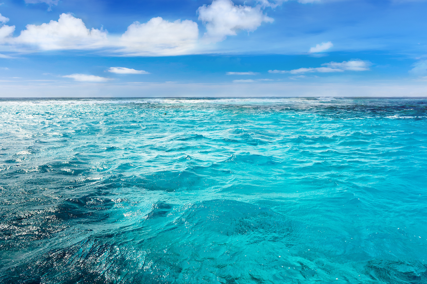 making-waves:-tech-firm-debuts-ocean-based-carbon-removal-protocol