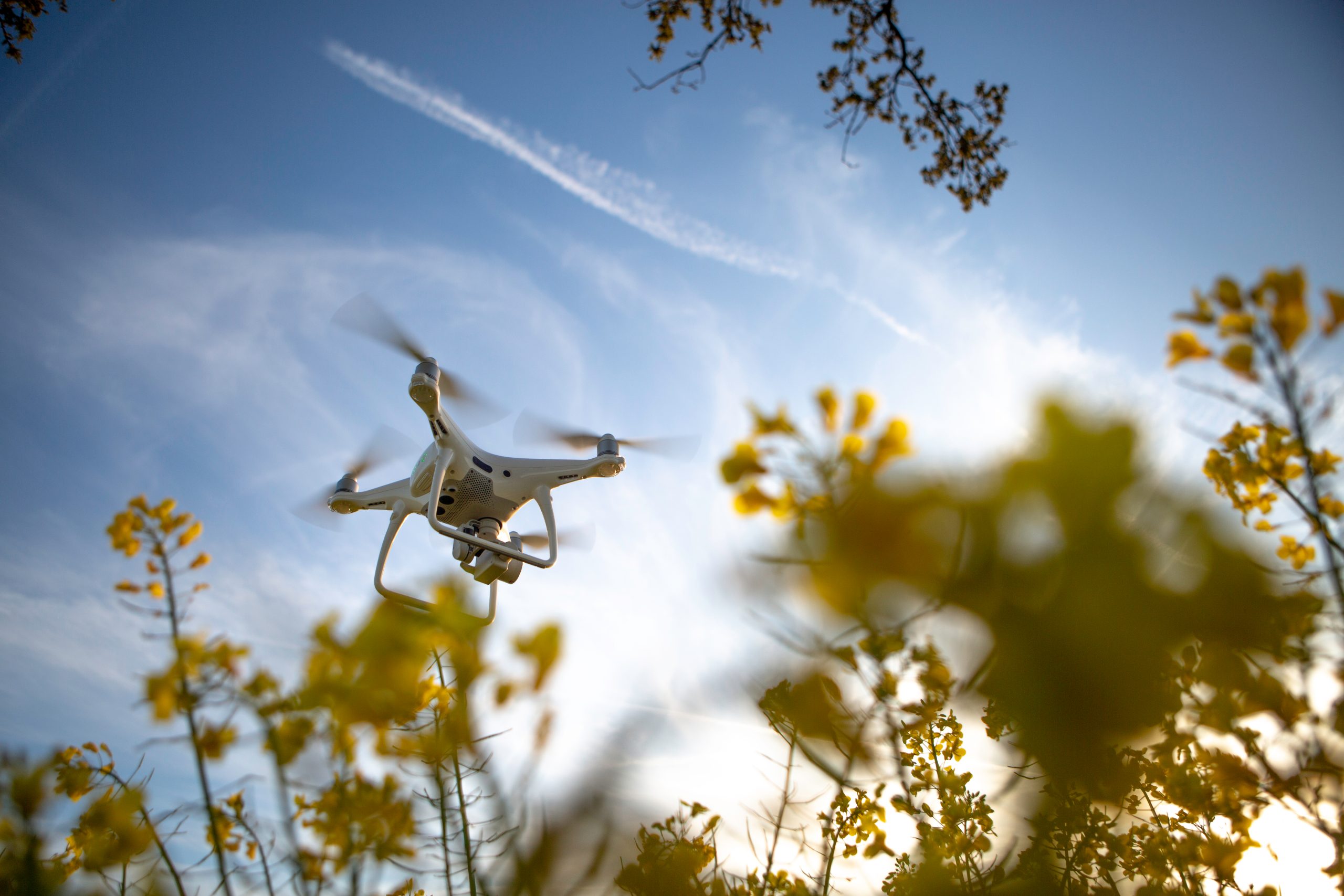 agroscout-uses-ai-to-remotely-protect-global-crops