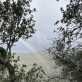 should-companies-use-credits-for-avoided-deforestation-to-meet-net-zero-goals?