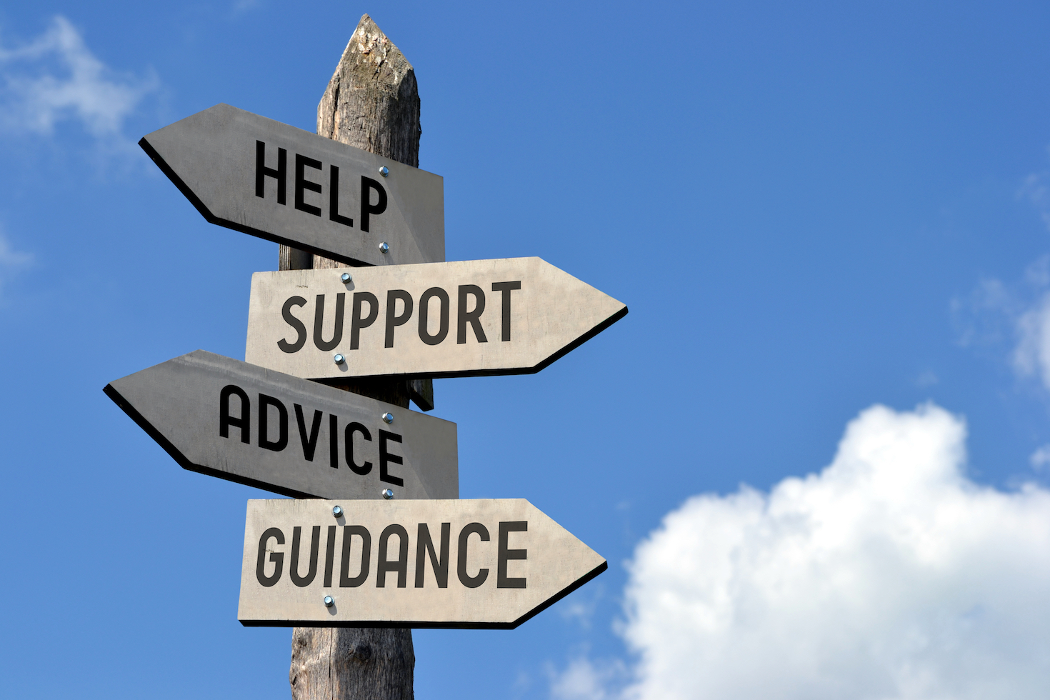 need-sustainability-advice?-this-company-has-used-external-experts-for-30-years
