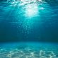 high-seas-treaty:-un-member-states-seal-historic-deal-to-protect-international-waters