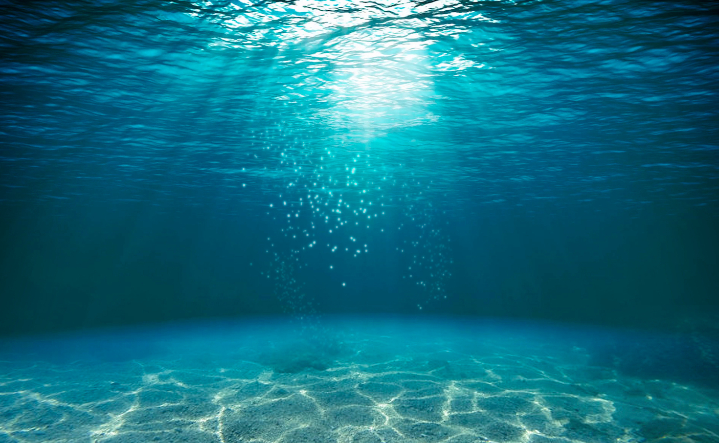 high-seas-treaty:-un-member-states-seal-historic-deal-to-protect-international-waters