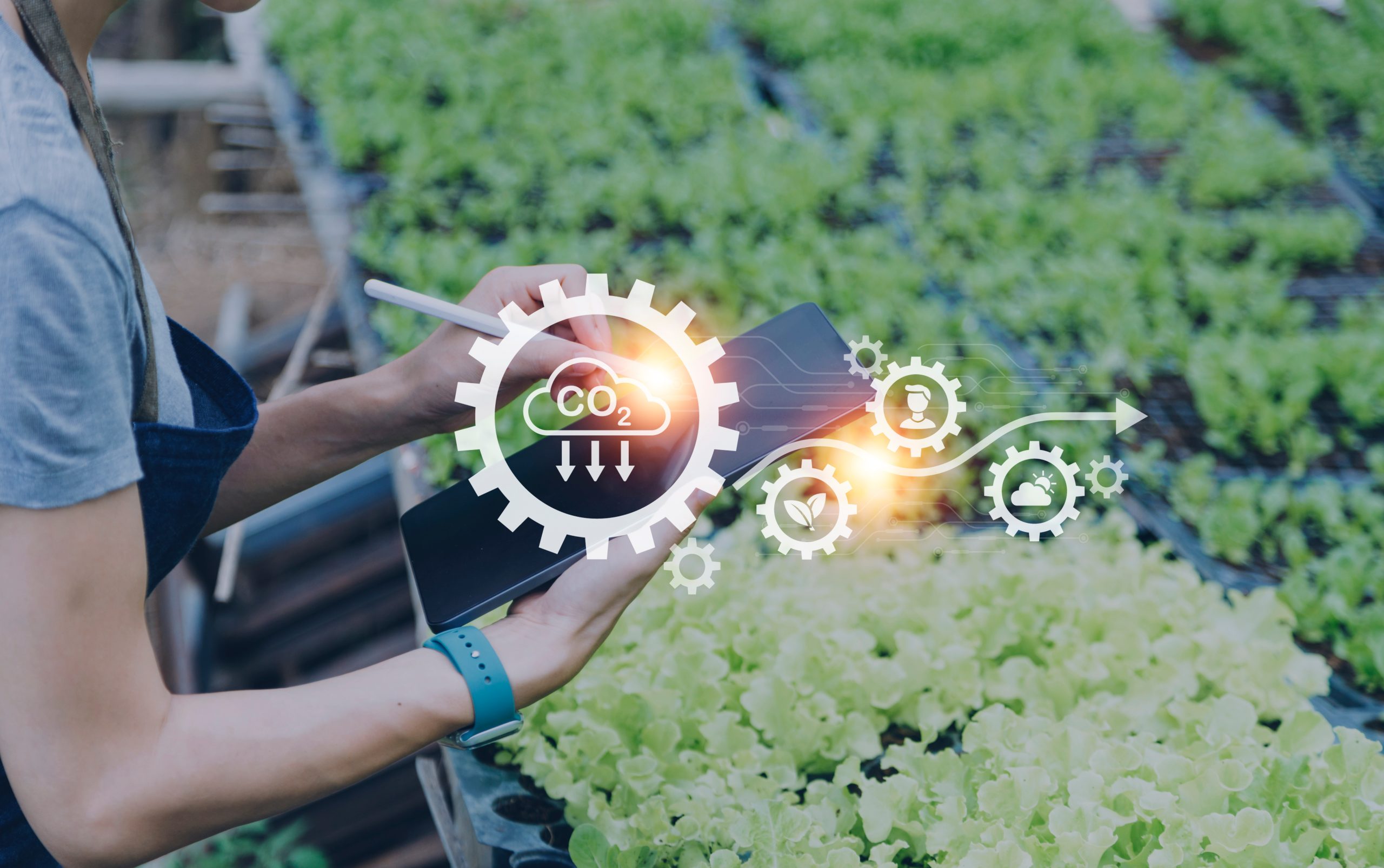 the-language-of-climate-resilience:-a-value-chain-that-is-inclusive-of-human-experiences