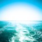 high-seas-treaty:-what-does-it-mean-for-business?