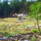 need-seeds?-this-reforestation-startup-is-buying-its-suppliers
