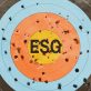 the-first-rule-of-esg:-don’t-talk-about-esg
