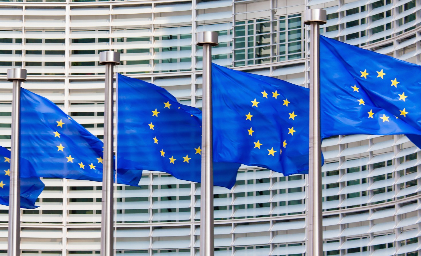 what-are-the-‘wrong’-sort-of-eu-taxonomy-estimates?