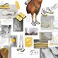 an-allbirds-shoe-with-no-footprint?