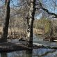 diving-into-water-restoration?-what-it-takes-to-prime-a-project