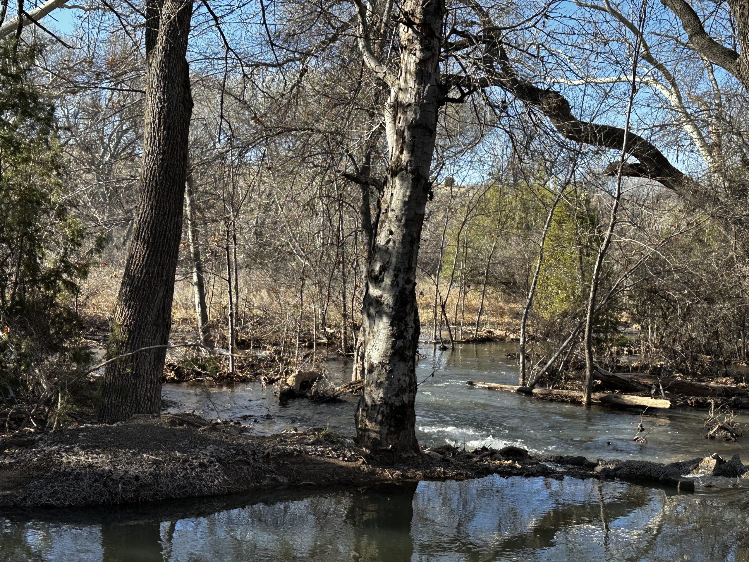 diving-into-water-restoration?-what-it-takes-to-prime-a-project