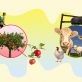 should-regenerative-agriculture-follow-organic’s-path?