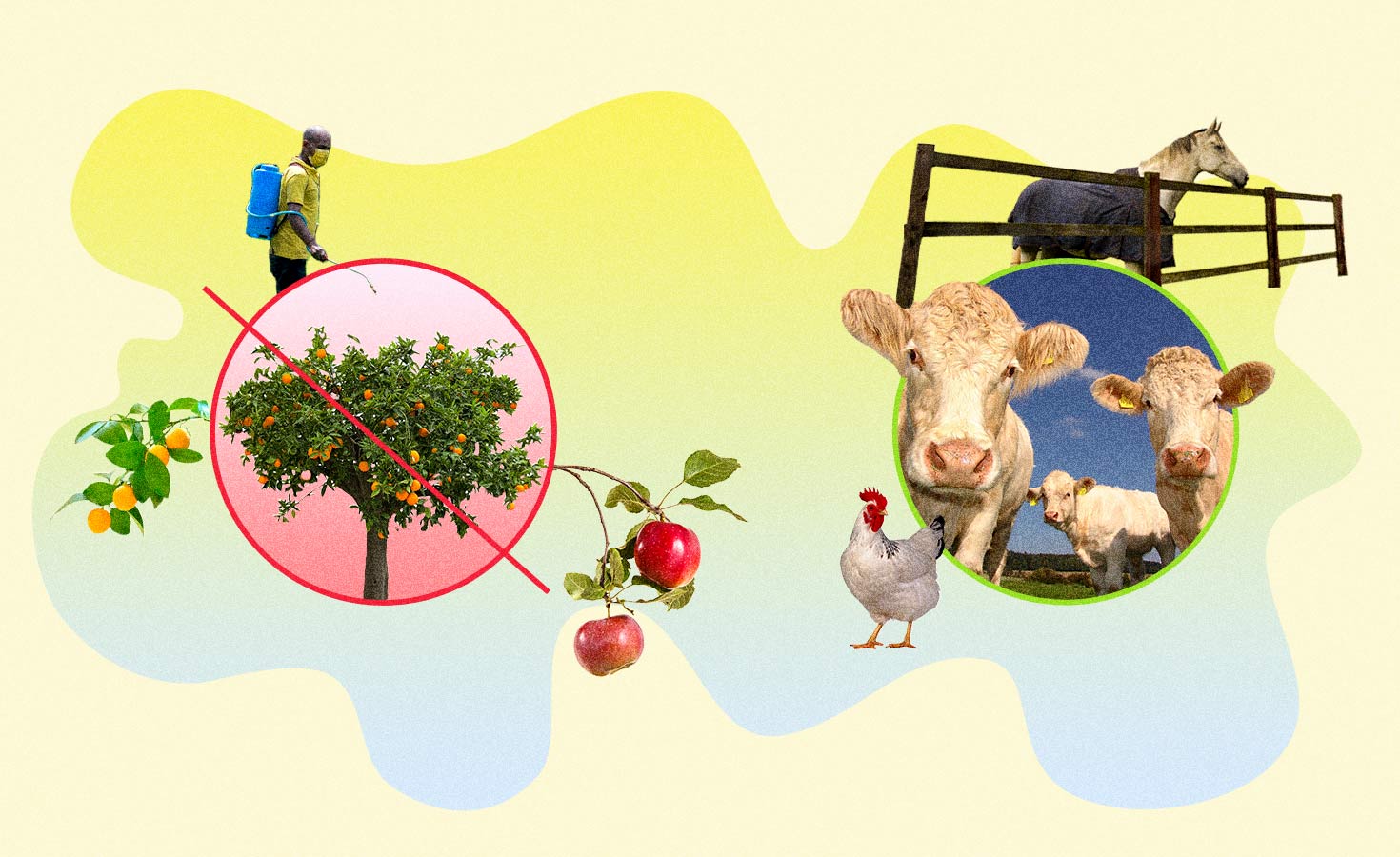 should-regenerative-agriculture-follow-organic’s-path?