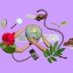 solving-the-sustainability-careers-and-connection-crisis
