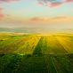 ‘outsize-opportunity’:-how-investors-could-help-slash-food-sector-emissions-and-unlock-a-$1.5t-economic-boost