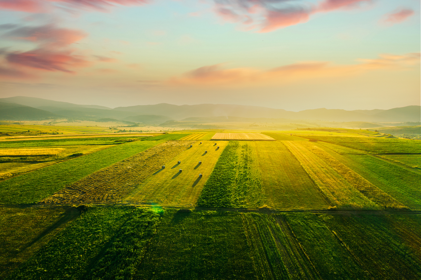 ‘outsize-opportunity’:-how-investors-could-help-slash-food-sector-emissions-and-unlock-a-$1.5t-economic-boost