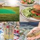 the-boiling-waters-of-alternative-protein-and-agtech