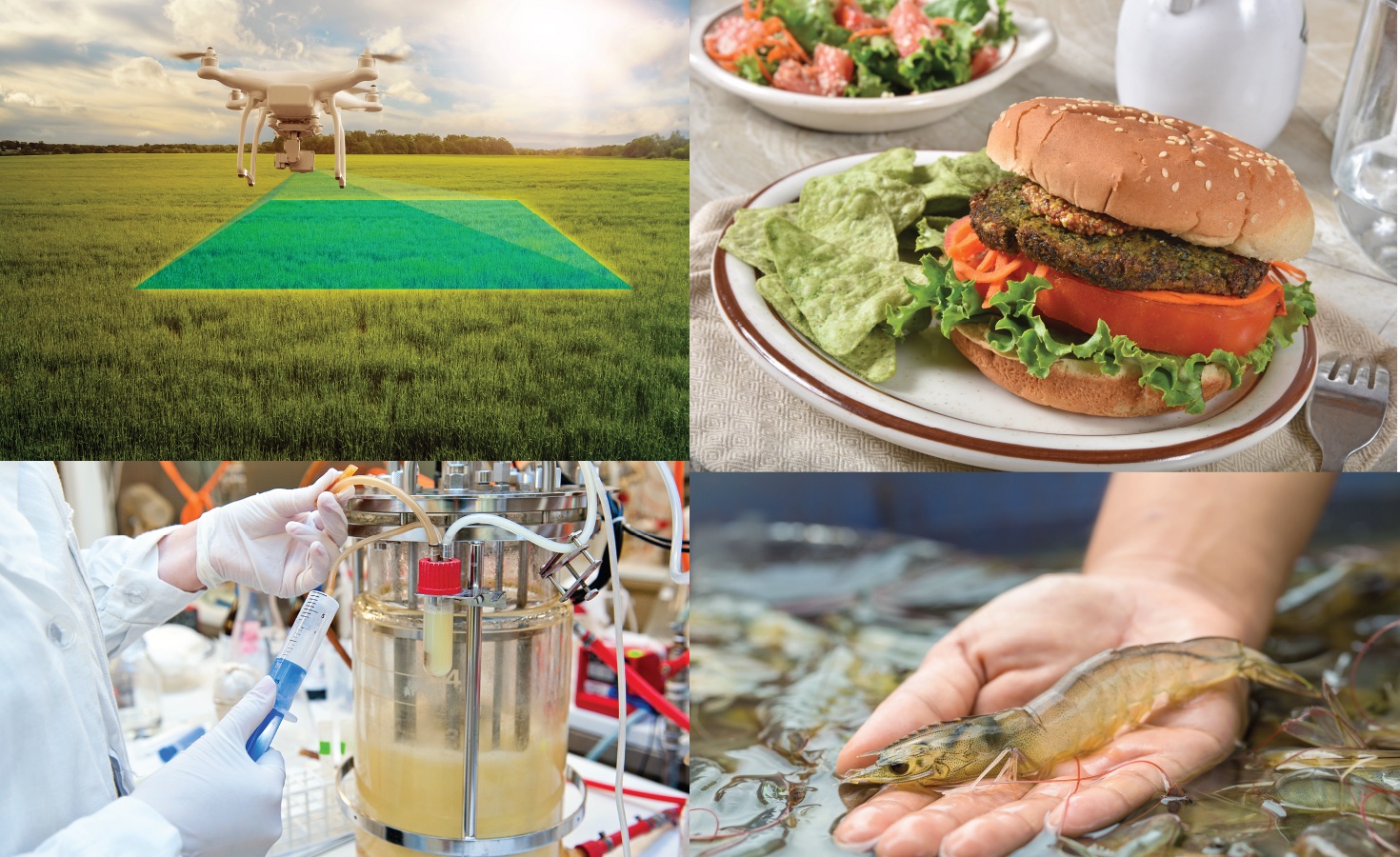 the-boiling-waters-of-alternative-protein-and-agtech