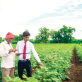 biodiversity-and-the-future-of-food-served-by-the-cloud